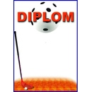 DF01a Diplom florbal