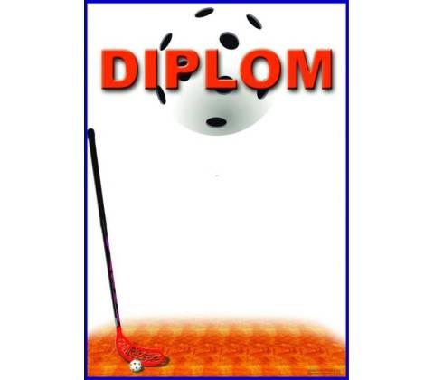 DF01a Diplom florbal