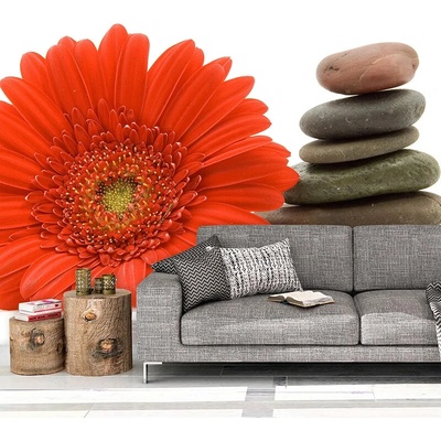 Sablio Tapeta Gerbera s kameňmi, rozmery 336x220 cm