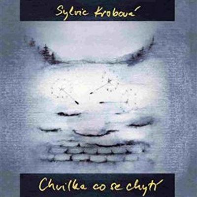 Chvilka, která se chytí - Sylvie Krobová