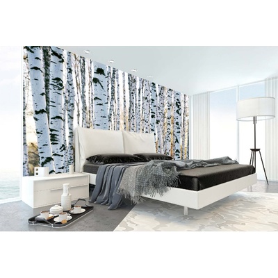 DIMEX ART Самозалепваща се флизелинова фототапета брезови стволове 375 x 250 см