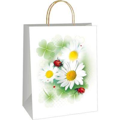 Ditipo Darčeková taška EKO 40, mix vzorov, 22 x 10 x 29 cm, 1 ks