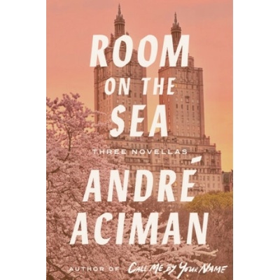 Room By The Sea - André Aciman