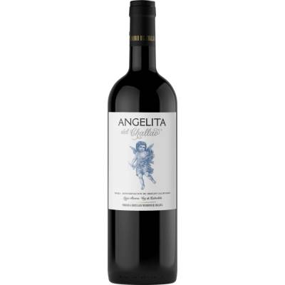 Dominio del Challao Angelita del Challao 2021 Červené 13,5% 0,75 l (holá láhev)