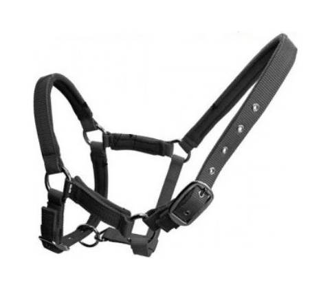 Helmer LK 515
