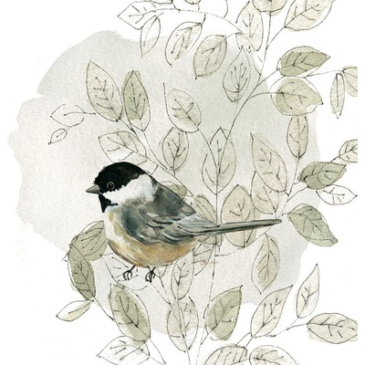 Botanický náčrtník Pták II 50x50 1 deska