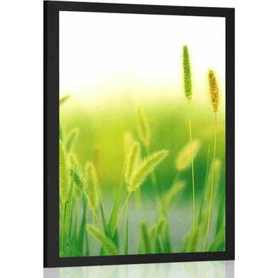 Plakát stébla trávy v zeleném provedení - 40x60 white