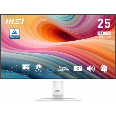 MSI PRO MP251W E2