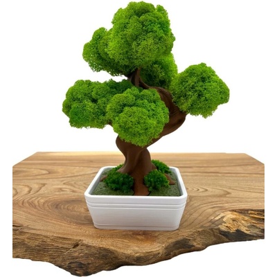 Machový 3D bonsai White II.
