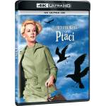 MagicBox Птиците - Blu-ray (4K Ultra HD) (076923)