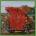 HYNES, DEVONTE - QUEEN & SLIM CD