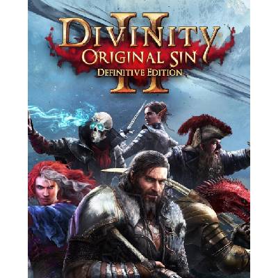 Divinity: Original Sins 2 (Definitive Edition)