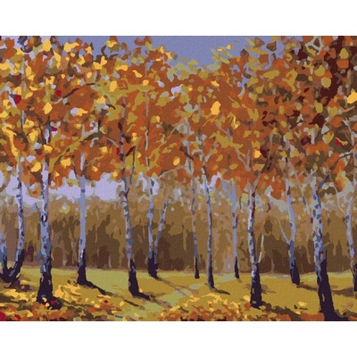 zuty Malování Podle Čísel Podzimní Břízy 80 x 100 Cm Plátno