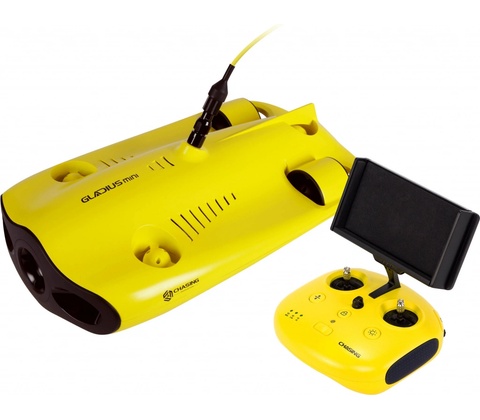 Chasing Gladius Mini 100m GLADIUSMINI