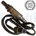 Lambda sonda DELPHI ES10581-12B1
