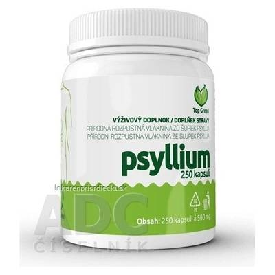 Top Green Psyllium 250 ks