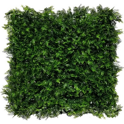 Umělý živý plot ASPLENIUM TMAVÉ PREMIUM, 4ks dílce 50x50cm, plocha 1m2