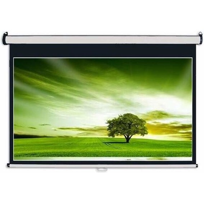 Aveli 100" 16:9 XRT-00084
