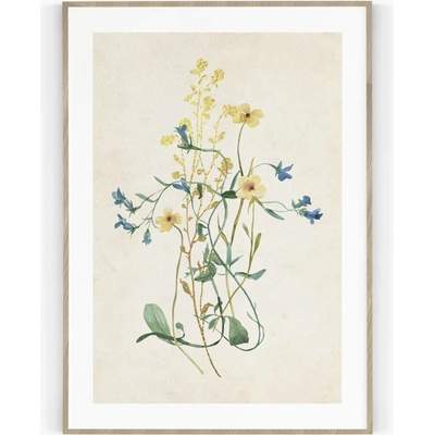 Plakát / Obraz Flowers 40 x 50 cm Pololesklý saténový papír