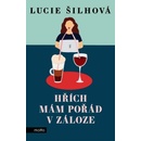 Hřích mám pořád v záloze - Lucie Šilhová, Lenka Samešová ilustrátor