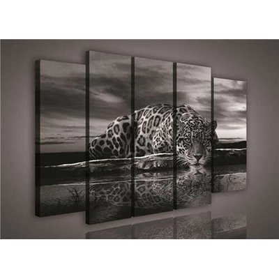 Obraz na plátně Jaguár 171S12, rozměr 150 x 100 cm, IMPOL TRADE