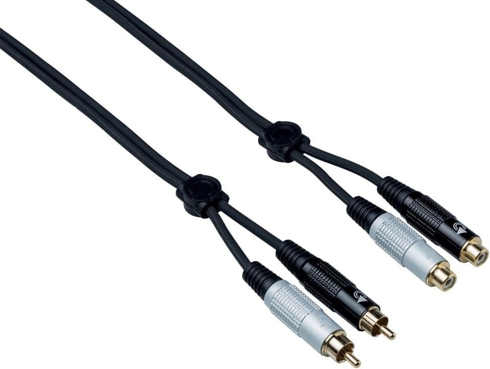 Bespeco EA2X300
