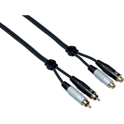 Bespeco EA2X300
