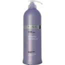 Gestil Fleir by Wonder šampón pre časté umývanie na mastné vlasy Greasy Hair Shampoo Purifying 500 ml
