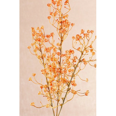 GYPSOFILA ORANŽOVÁ 64 cm