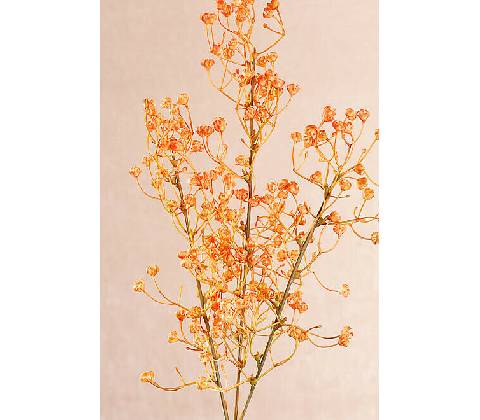 GYPSOFILA ORANŽOVÁ 64 cm