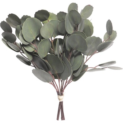 Blahovičník - Eukalyptus / Eukalypt V30 cm (N131700)