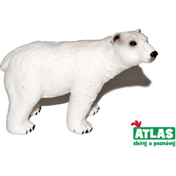Atlas C Medvěd lední