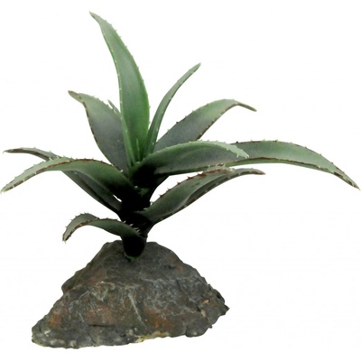 Lucky Reptile Tillandsia 20 cm