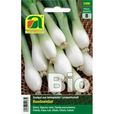 AUSTROSAAT Bio jarná cibuľka "Witte von Lissabon" - 1 bal.