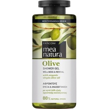 Mea Natura Olivový sprchový Gél Wellness & Revitalizácia 300 ml