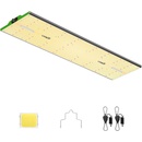 Viparspectra P4000