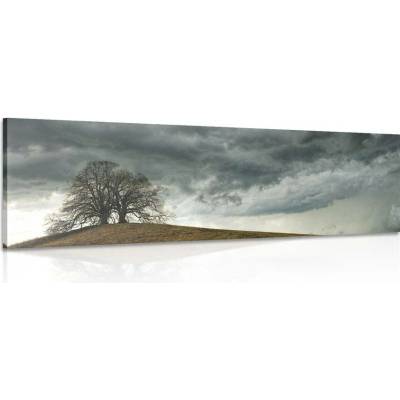 Obraz osamělé stromy - 120x40