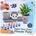 Playgo PLGo Оцвети си сам Саксия (1012037F)