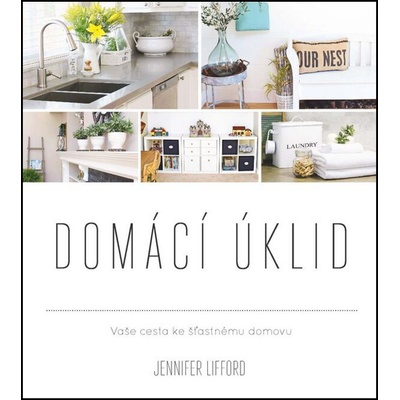Domácí úklid