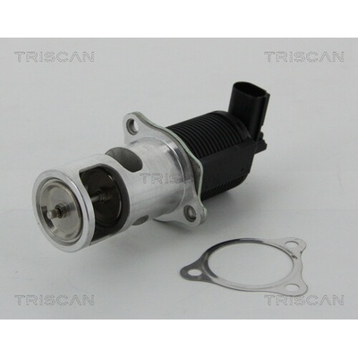 AGR - Ventil TRISCAN 8813 25038