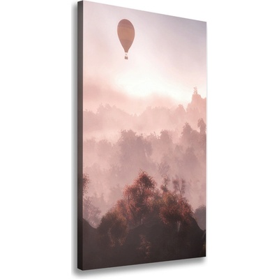 Vertikálny foto obraz na plátne Lietajúci balón les 50x100 cm