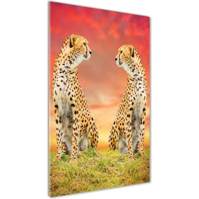 Vertikálny foto obraz fotografie na skle Dva gepardy 50x100 cm