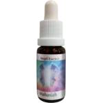PHI Essences Балансира интелекта и емоцията - Есенция Махасия (Angel Esssence № 14), капки 15 ml (14 ANGEL)