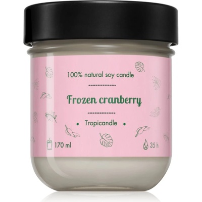TROPIKALIA Frozen Cranberry ароматна свещ 170ml