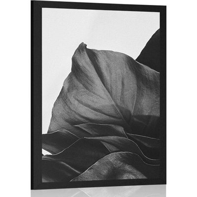 Plakát okouzlující dopis monstery v černobílém provedení - 20x30 white