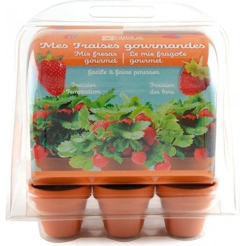 Image 1 of Radis et Capucine Мини оранжерия - Ягоди (033237)