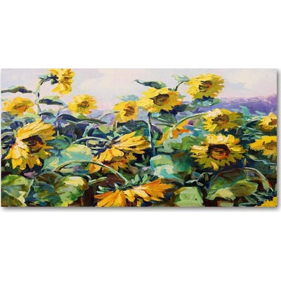 Fotoobraz na skle slnečníky 100x50 cm