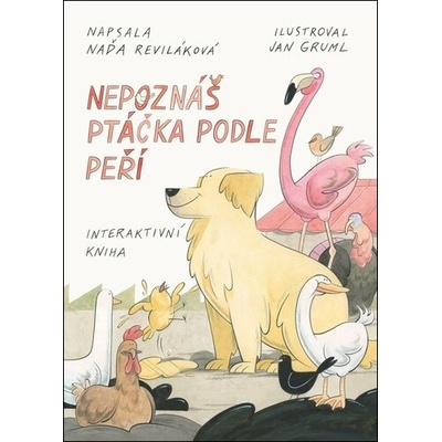 Nepoznáš ptáčka podle peří