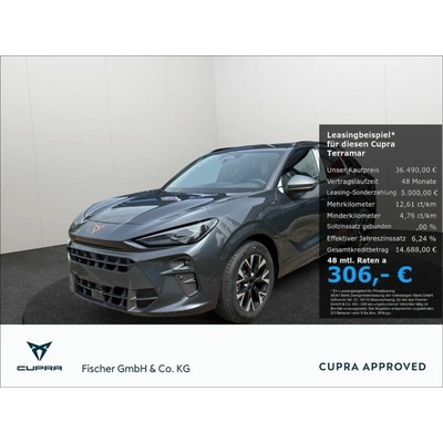 Cupra Terramar 1.5 eTSI DSG 110 kW