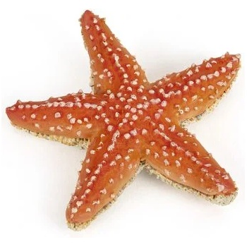 Image 1 of Papo - Фигурка за колекциониране и игра - Морска звезда (56050)